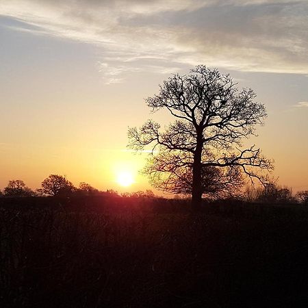 Foxes Field B&B Aston Nantwich Wrenbury Ngoại thất bức ảnh