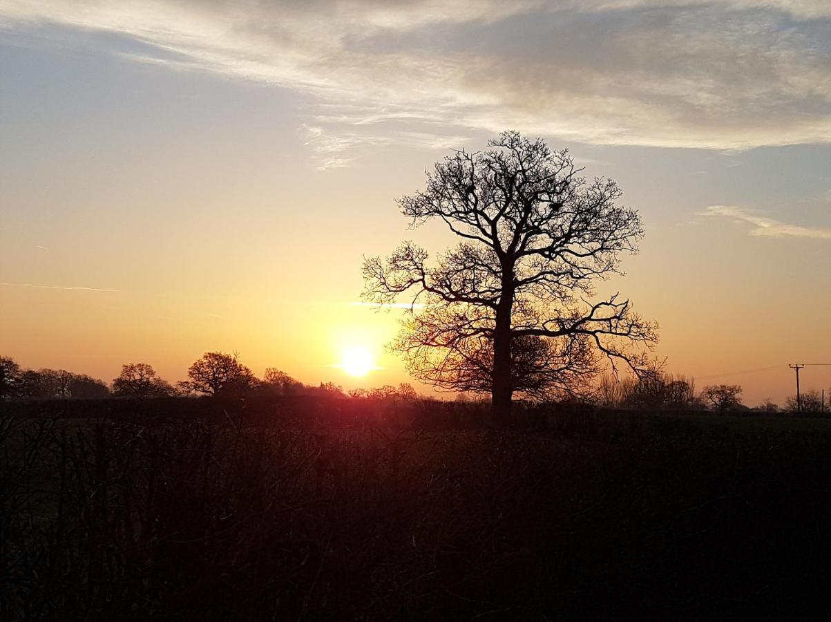 Foxes Field B&B Aston Nantwich Wrenbury Ngoại thất bức ảnh
