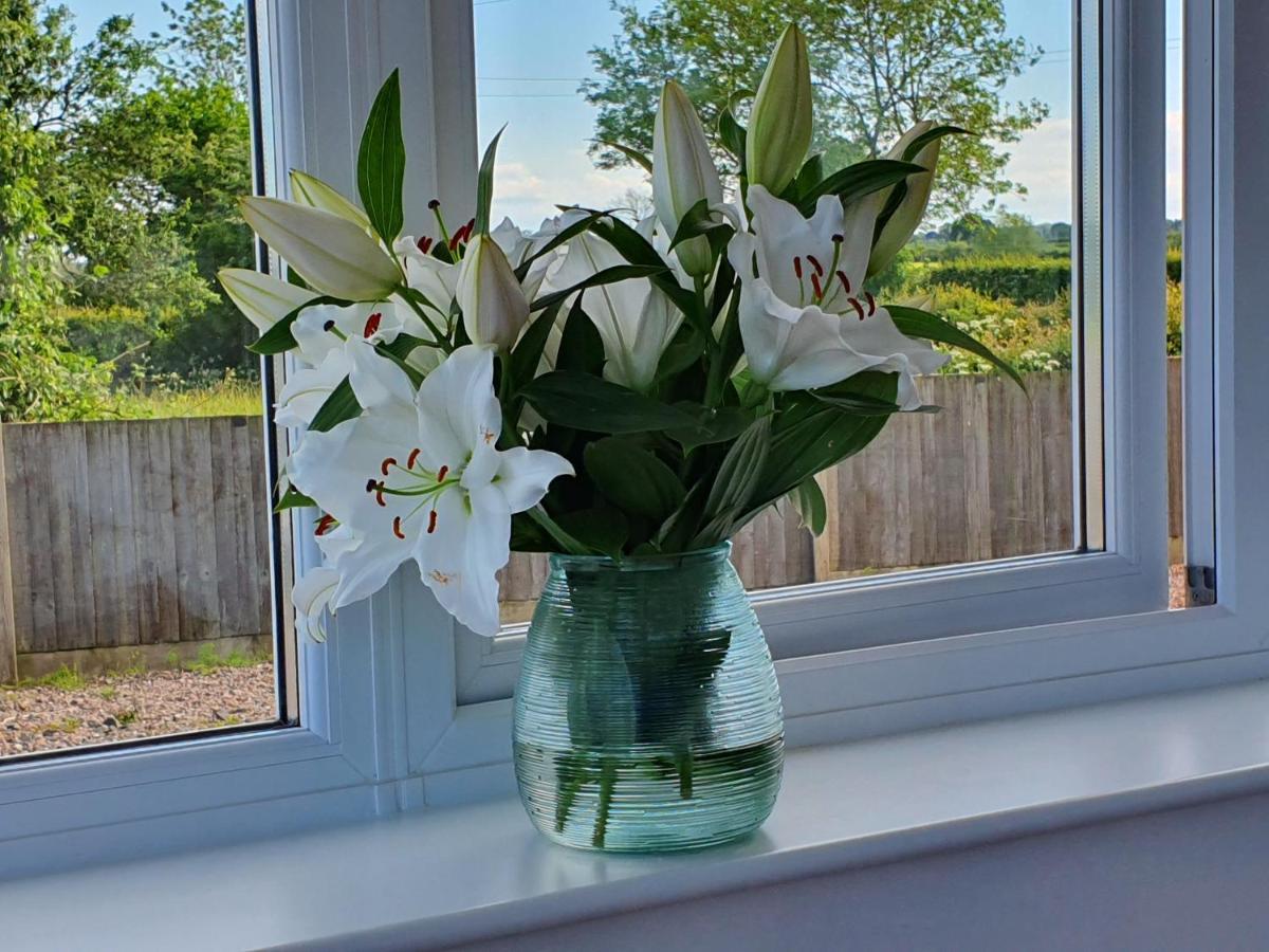 Foxes Field B&B Aston Nantwich Wrenbury Ngoại thất bức ảnh